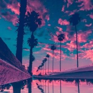 Meet your Posher, Pris